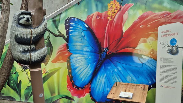 Farbenfrohe Wand mit blauen Schmetterling auf roter Blüte. Davor Holzbank und Info-Tafel zum Faultier. Vorne links ein Ausstellungs-Faultier an einem Stamm.