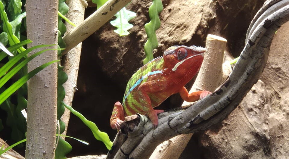 Familienausflug in die Biosphäre