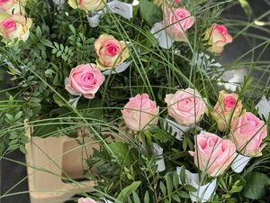 Viele rosa Rosen in Kisten.