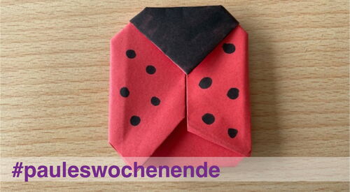 Ein Marienkäfer aus Stoff gefaltet mit schwarzen Tupfen.