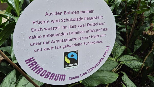 Hinweisschild am Kakaobaum. Text: Aus den Bohnen meiner Früchte wird Schokolade hergestellt.