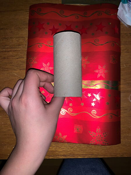 Eine Hand hält eine Klopapierhülle hoch