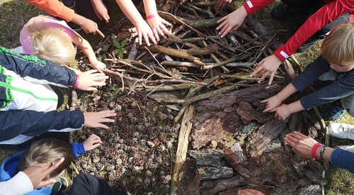 Kinder stehen im Kreis, in der Mitte Naturmaterialen, Rinde, Stöcke, Kienäpfel. Kinder greifen danach.