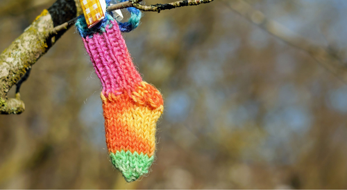 Wollsocke an einem Baum hängend