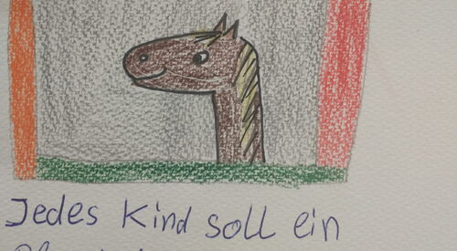 Ein Pferdekopf hinter einem Fenster