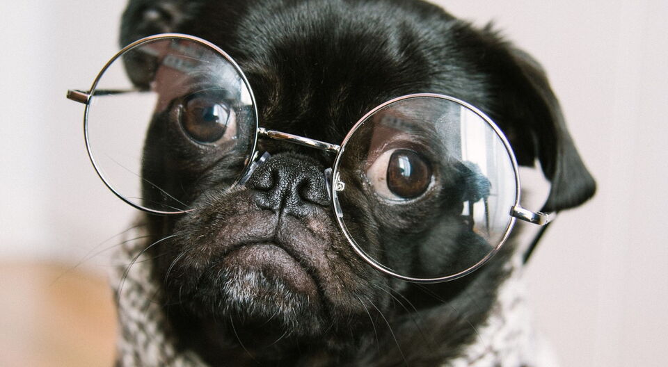 Tipps und Infos für Kinder