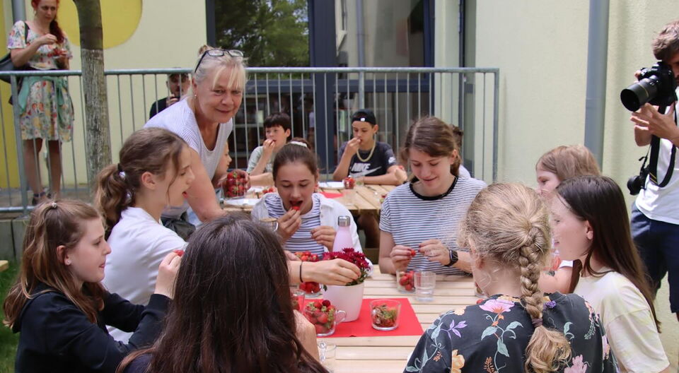 Einführung von kostenlosem Mittagessen