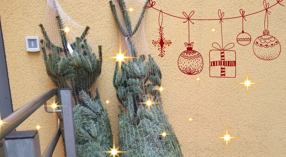 Weihnachtsbäume sind eingezogen