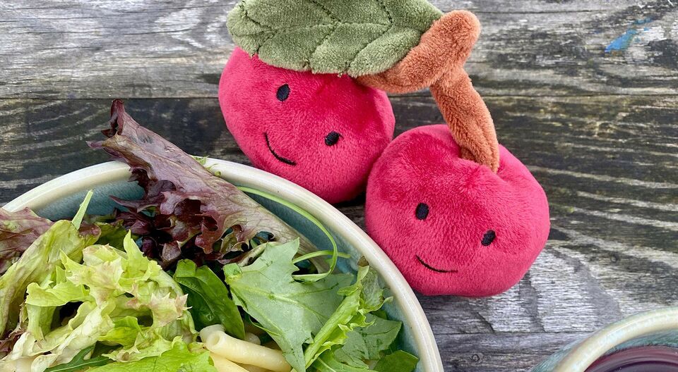 Mangelnde Grundversorgung von Kindern und Jugendlichen