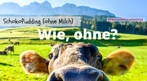 Nahaufnahme einer braunen Kuh, die Ihre Schnautze die Kamera entgegenstreckt. Der Text im Bild "Wie Ohne?"