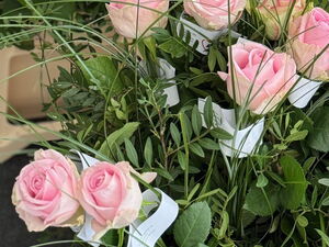 Viele rosa Rosen in Kisten.