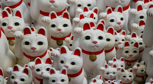 Viele weiße Winke-Katzen.