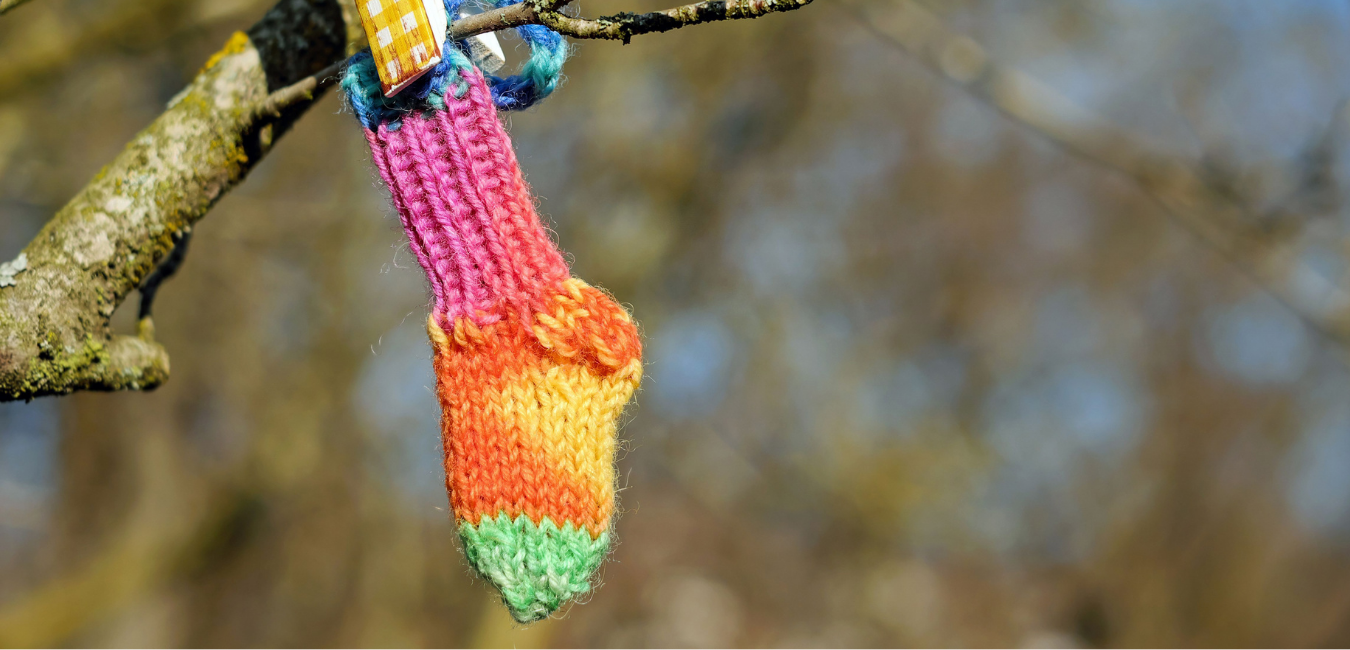 Wollsocke an einem Baum hängend